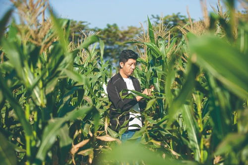 農大夫妻的現(xiàn)實版“去有風的地方” 用心打造屬于自己的農產品夢想