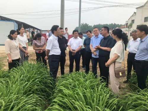 大力發(fā)展我省特色地標農產品種植加工，盡快提升產業(yè)化水平調研